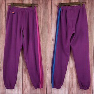 Aviator Nation Womens Small Maddie Kendall 5 Stripe Sweatpants Joggers Purple